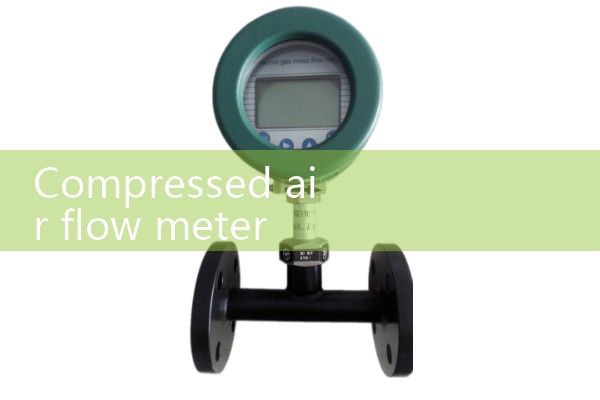 compressed air flow meter cfm|water flow meter